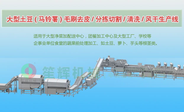 南和连续式土豆去皮清洗切割风干生产线